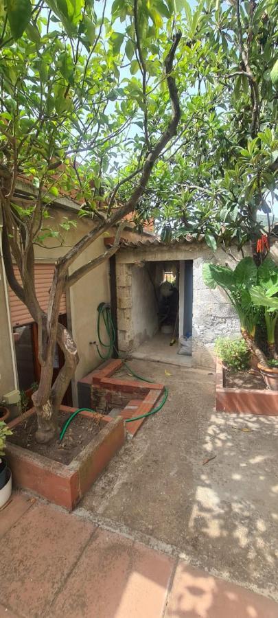 Vacanze Holiday home